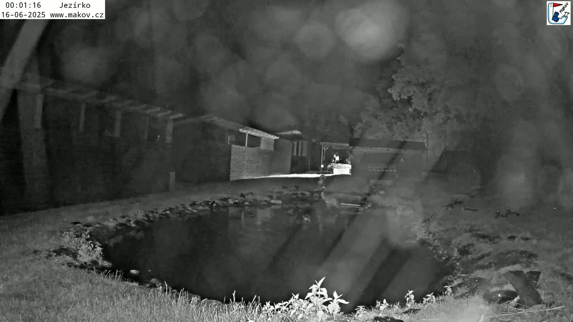 Pisek, Makov Animal Rescue Station Lake Live Cam - Cizova, Pisek, Juhočeský Kraj (South Bohemian), Czechia