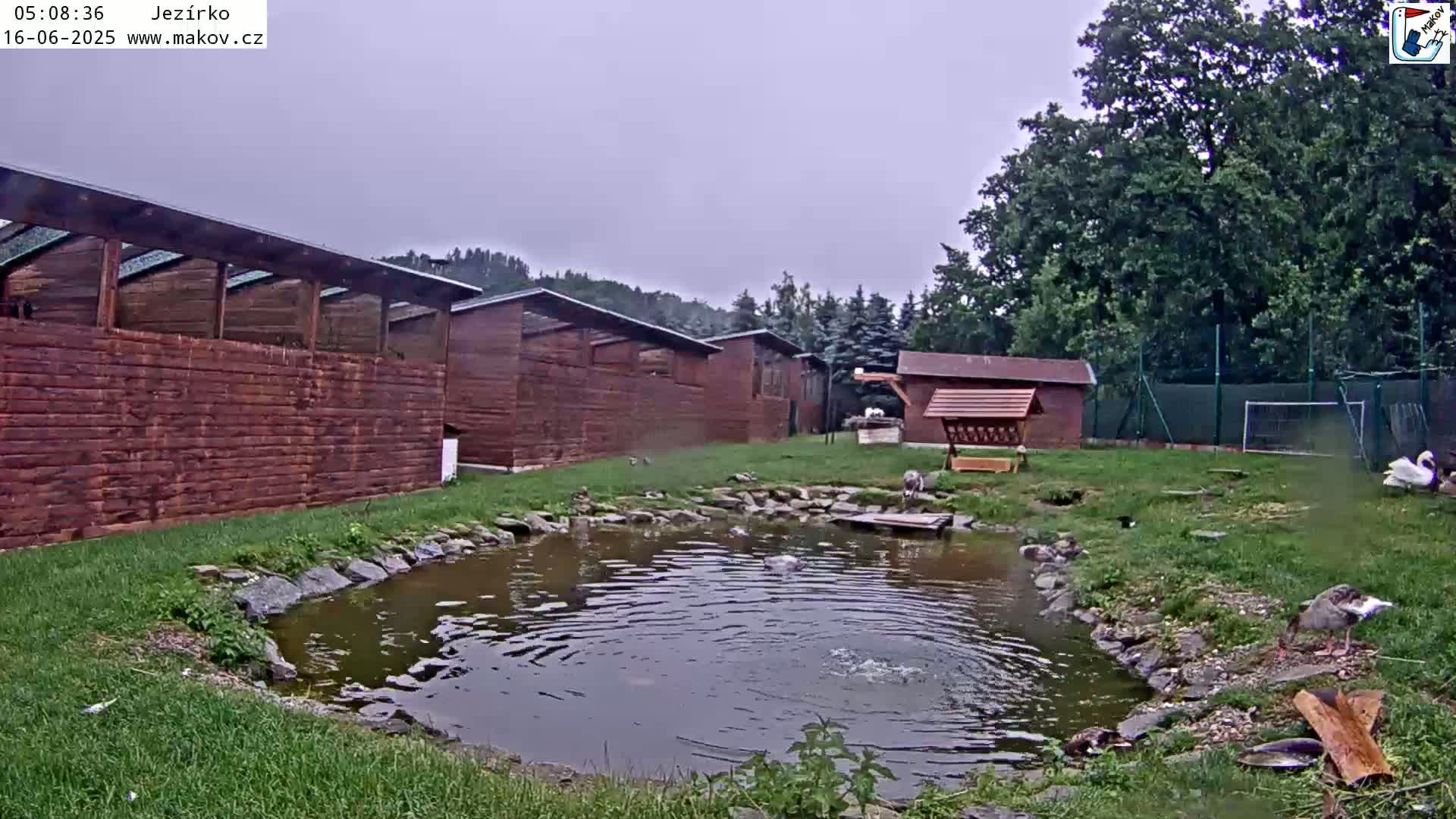 Pisek, Makov Animal Rescue Station Lake Live Cam - Cizova, Pisek, Juhočeský Kraj (South Bohemian), Czechia