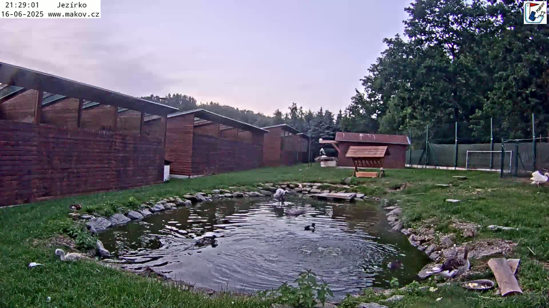 Pisek, Makov Animal Rescue Station Lake Live Cam - Cizova, Pisek, Juhočeský Kraj (South Bohemian), Czechia