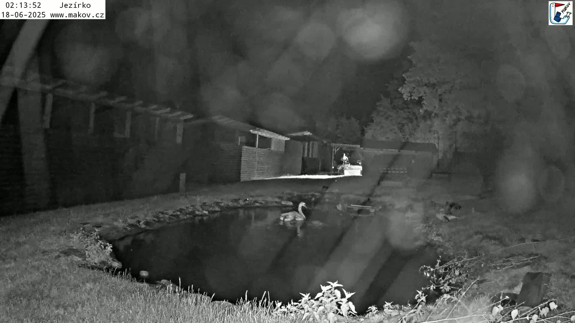 Pisek, Makov Animal Rescue Station Lake Live Cam - Cizova, Pisek, Juhočeský Kraj (South Bohemian), Czechia