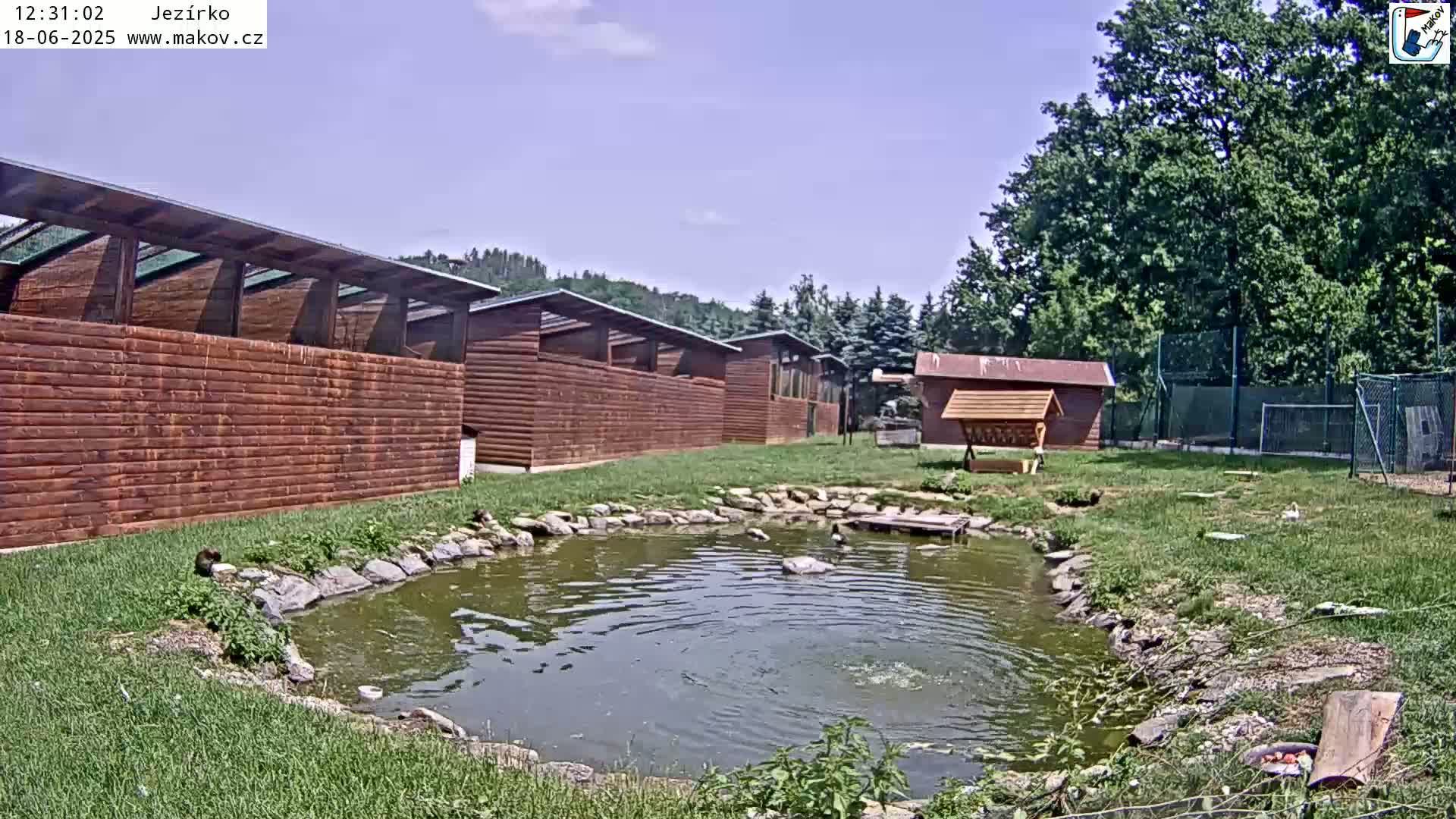A small pond with a few birds sits in front of a row of wooden buildings on a sunny day.