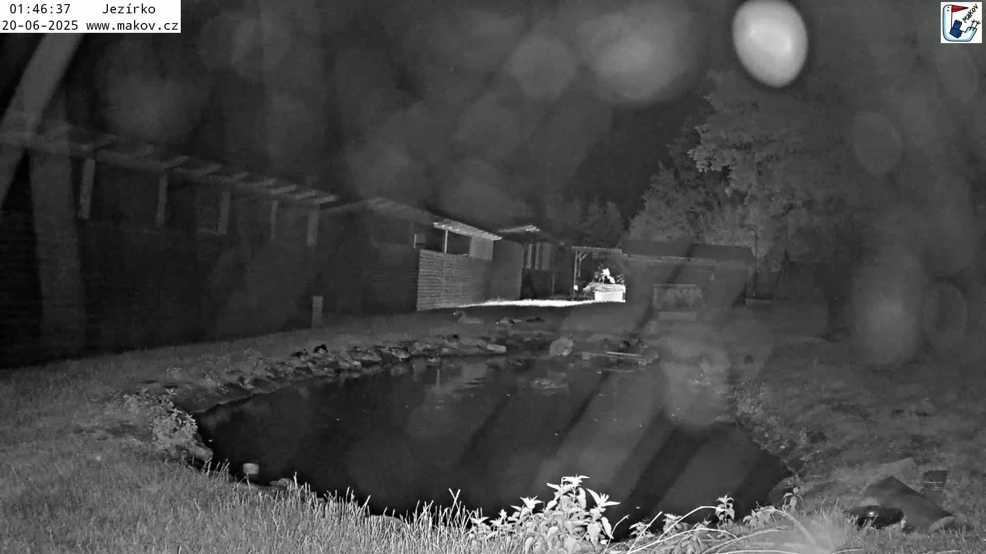 Pisek, Makov Animal Rescue Station Lake Live Cam - Cizova, Pisek, Juhočeský Kraj (South Bohemian), Czechia