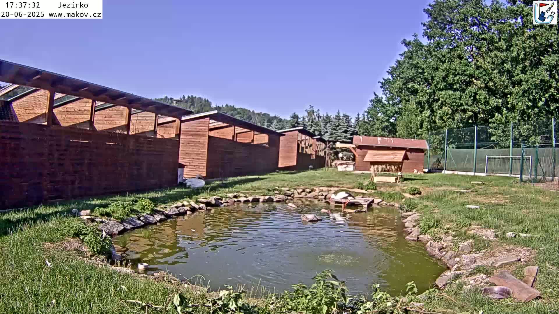 A small pond with several swans sits in front of a row of wooden structures under a clear blue sky.