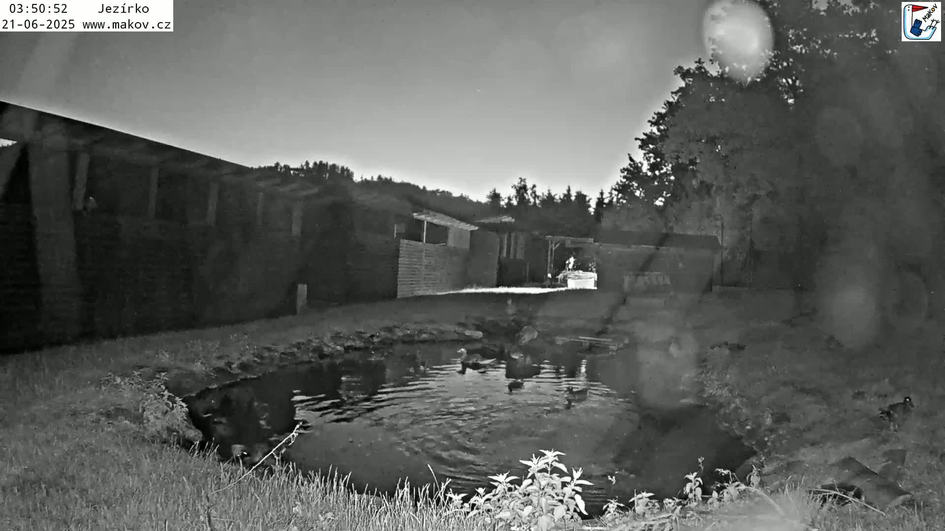 Pisek, Makov Animal Rescue Station Lake Live Cam - Cizova, Pisek, Juhočeský Kraj (South Bohemian), Czechia