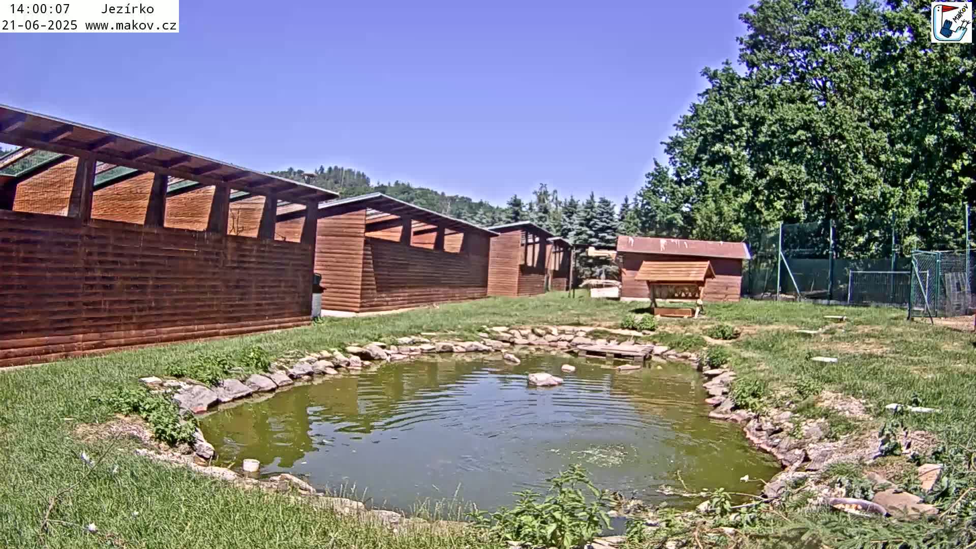 A small pond sits in a grassy area next to several wooden structures under a clear blue sky.