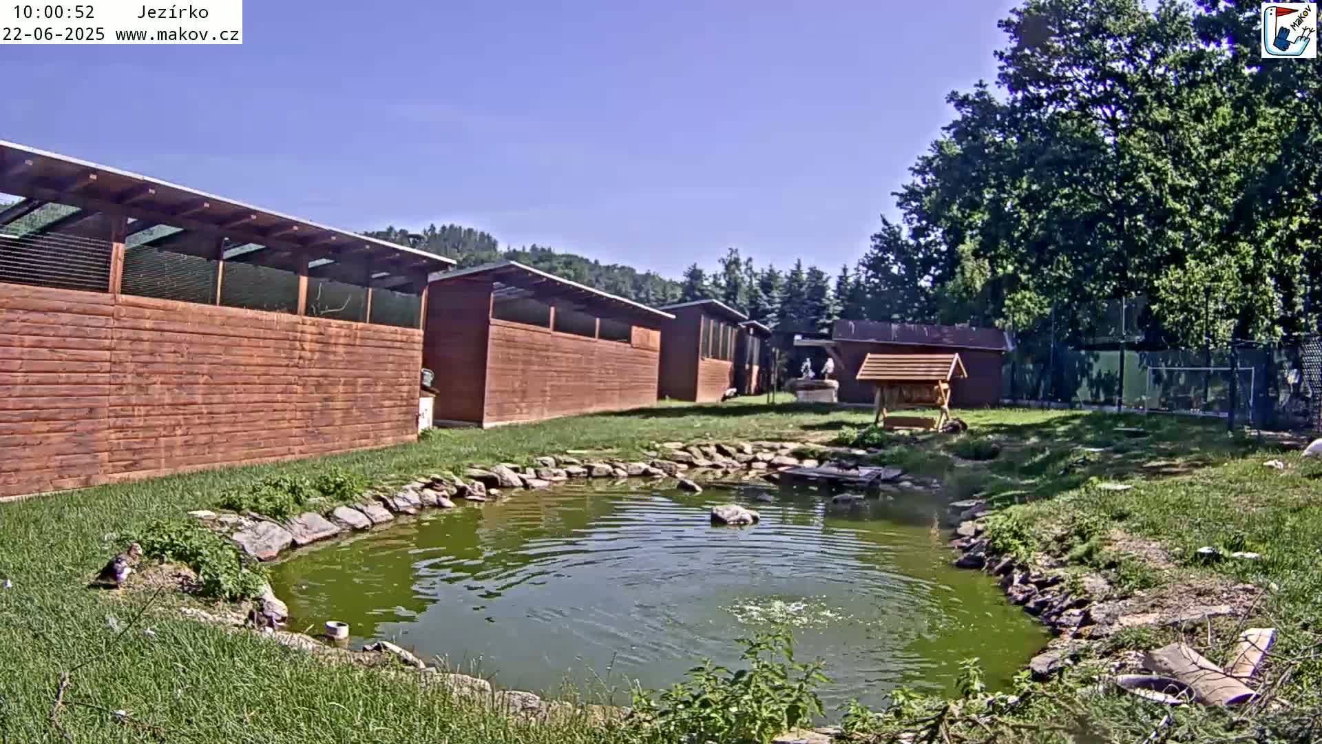 A small pond surrounded by grass and several brown wooden animal enclosures sits under a clear blue sky.