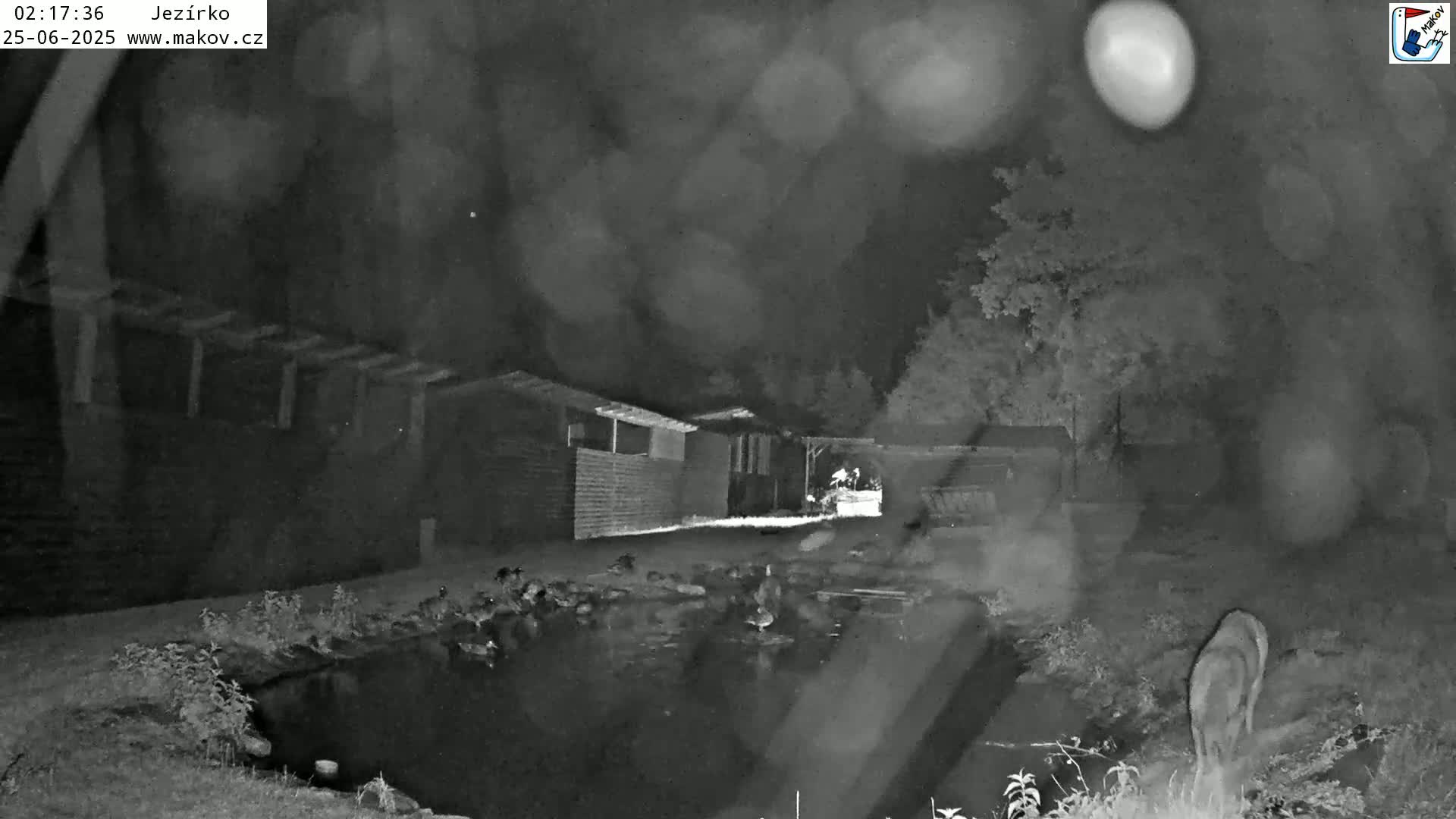 Pisek, Makov Animal Rescue Station Lake Live Cam - Cizova, Pisek, Juhočeský Kraj (South Bohemian), Czechia