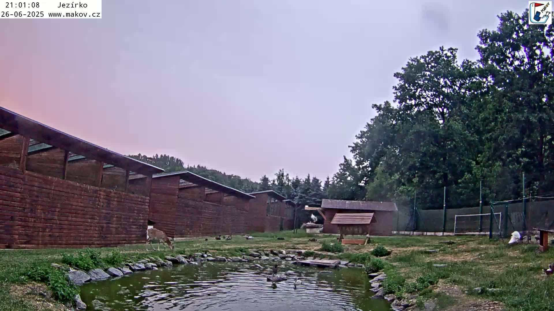 Pisek, Makov Animal Rescue Station Lake Live Cam - Cizova, Pisek, Juhočeský Kraj (South Bohemian), Czechia