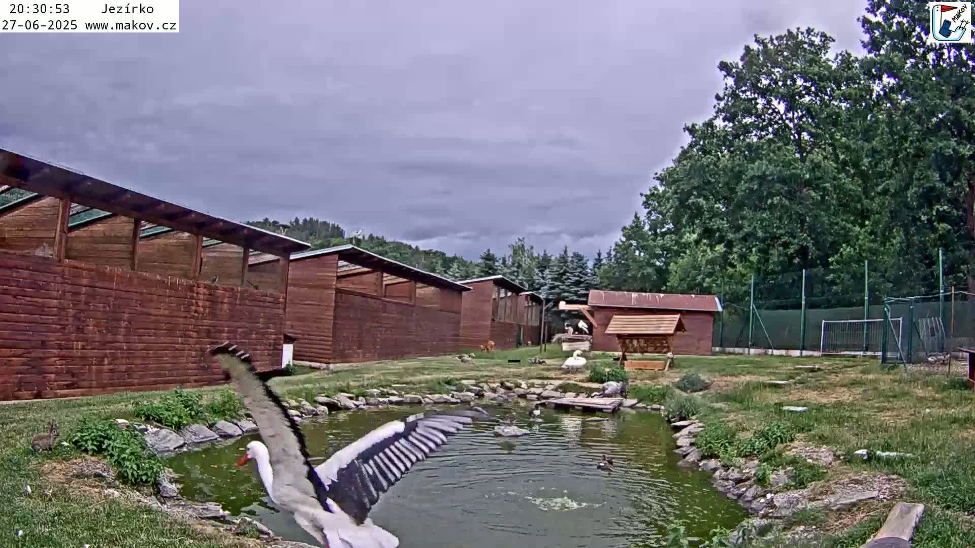 Pisek, Makov Animal Rescue Station Lake Live Cam - Cizova, Pisek, Juhočeský Kraj (South Bohemian), Czechia