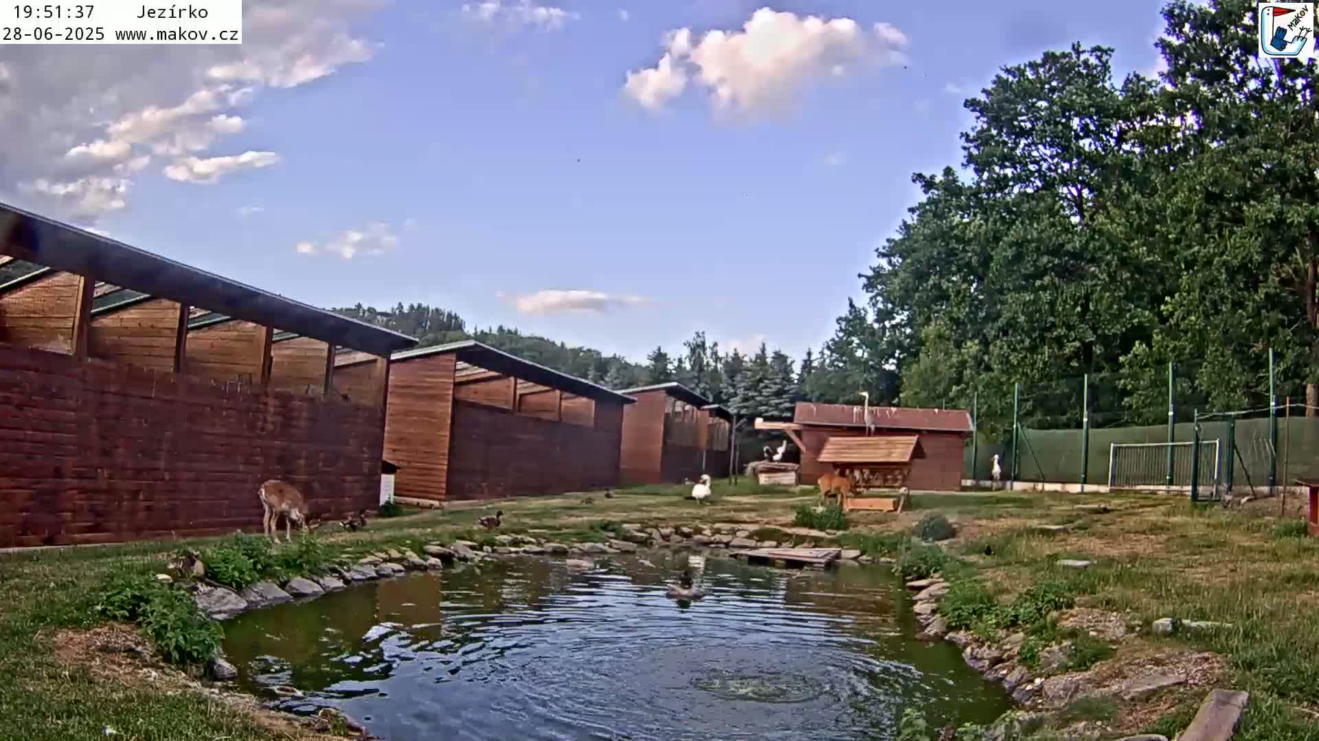 Pisek, Makov Animal Rescue Station Lake Live Cam - Cizova, Pisek, Juhočeský Kraj (South Bohemian), Czechia