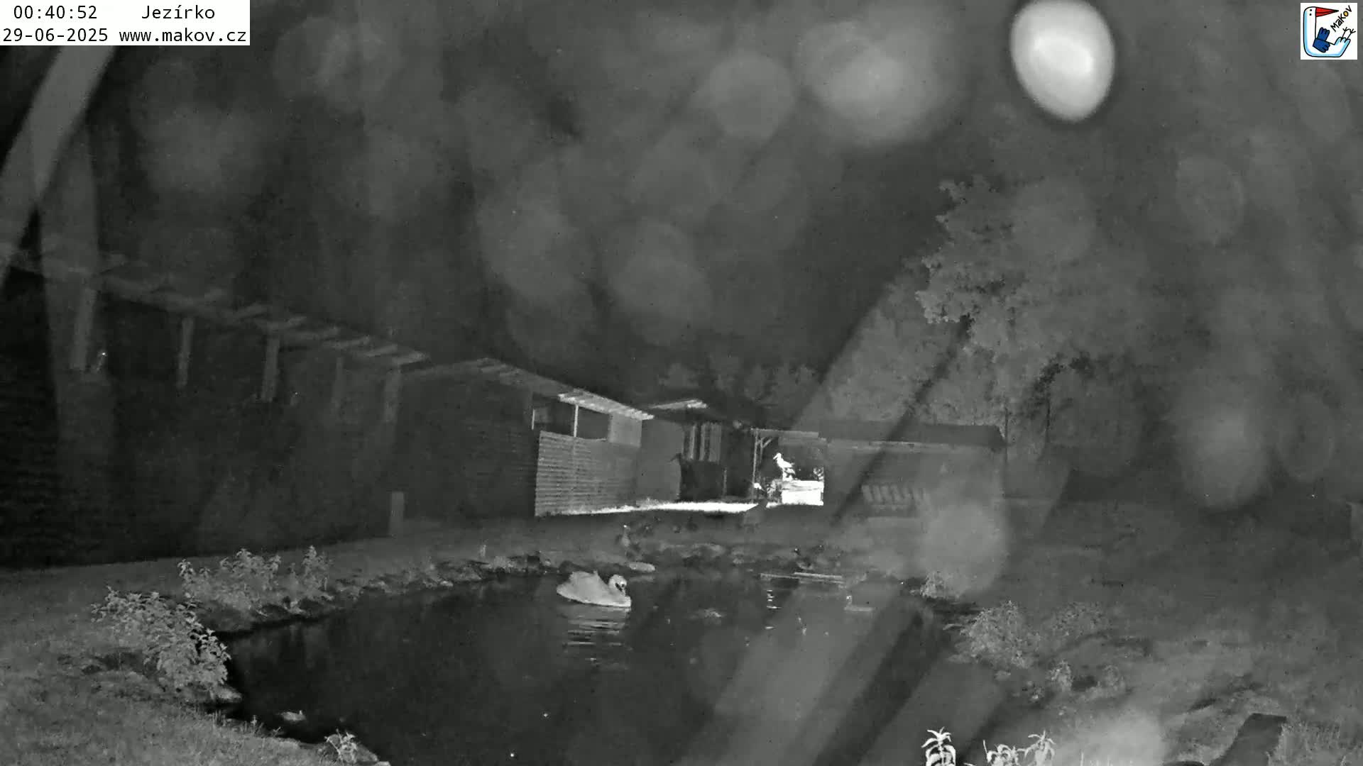 Pisek, Makov Animal Rescue Station Lake Live Cam - Cizova, Pisek, Juhočeský Kraj (South Bohemian), Czechia