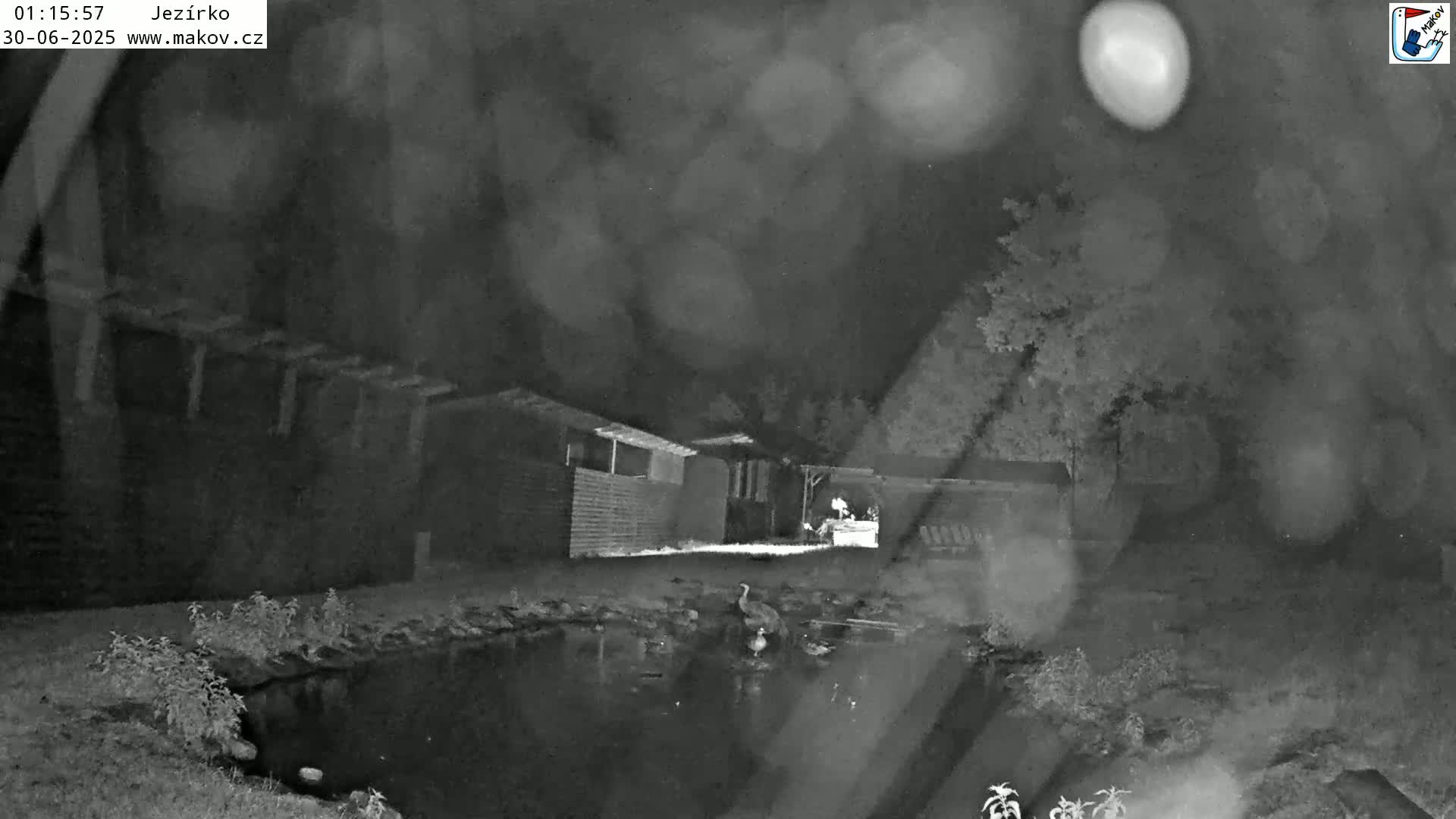 Pisek, Makov Animal Rescue Station Lake Live Cam - Cizova, Pisek, Juhočeský Kraj (South Bohemian), Czechia