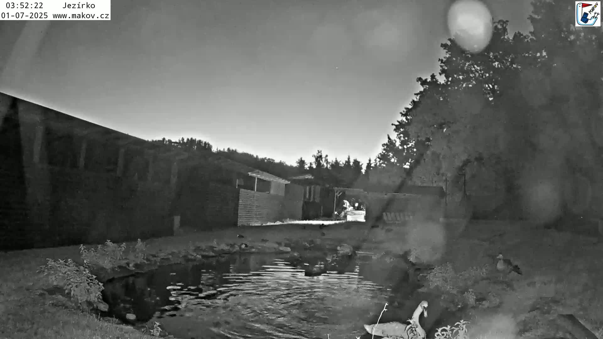 Pisek, Makov Animal Rescue Station Lake Live Cam - Cizova, Pisek, Juhočeský Kraj (South Bohemian), Czechia