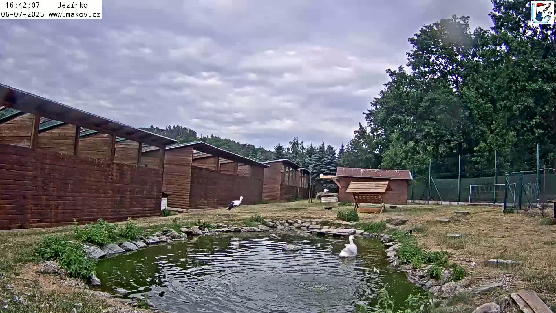 Pisek, Makov Animal Rescue Station Lake Live Cam - Cizova, Pisek, Juhočeský Kraj (South Bohemian), Czechia