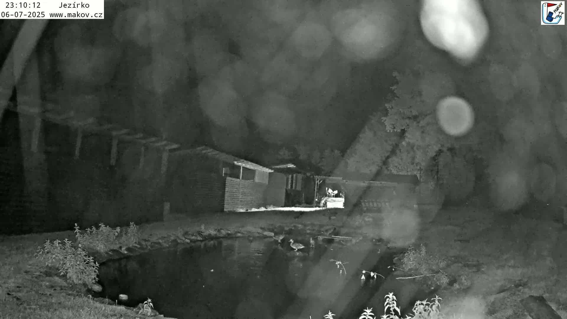 Pisek, Makov Animal Rescue Station Lake Live Cam - Cizova, Pisek, Juhočeský Kraj (South Bohemian), Czechia