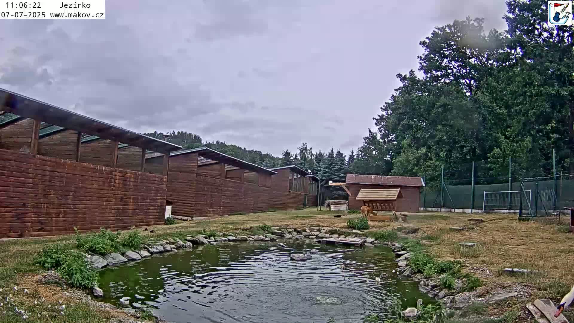 Pisek, Makov Animal Rescue Station Lake Live Cam - Cizova, Pisek, Juhočeský Kraj (South Bohemian), Czechia