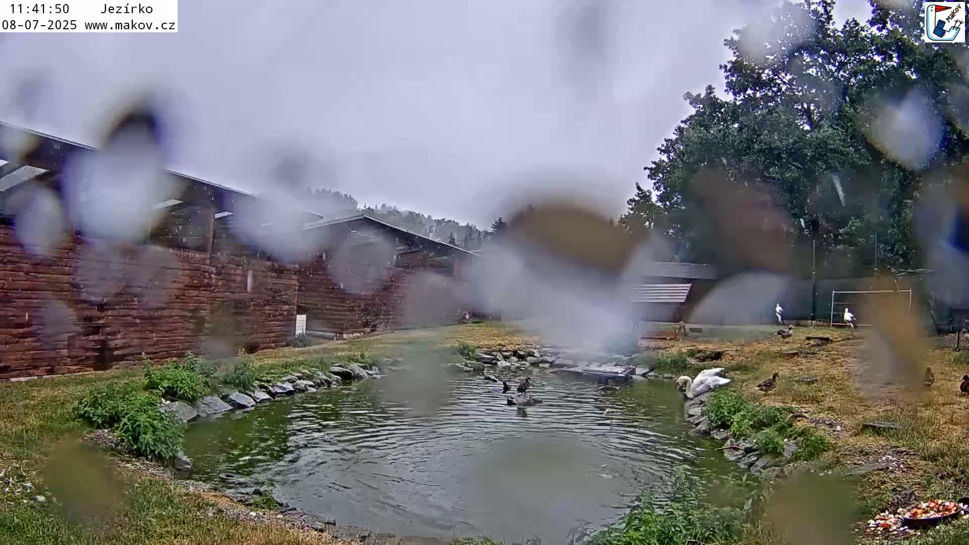 Pisek, Makov Animal Rescue Station Lake Live Cam - Cizova, Pisek, Juhočeský Kraj (South Bohemian), Czechia