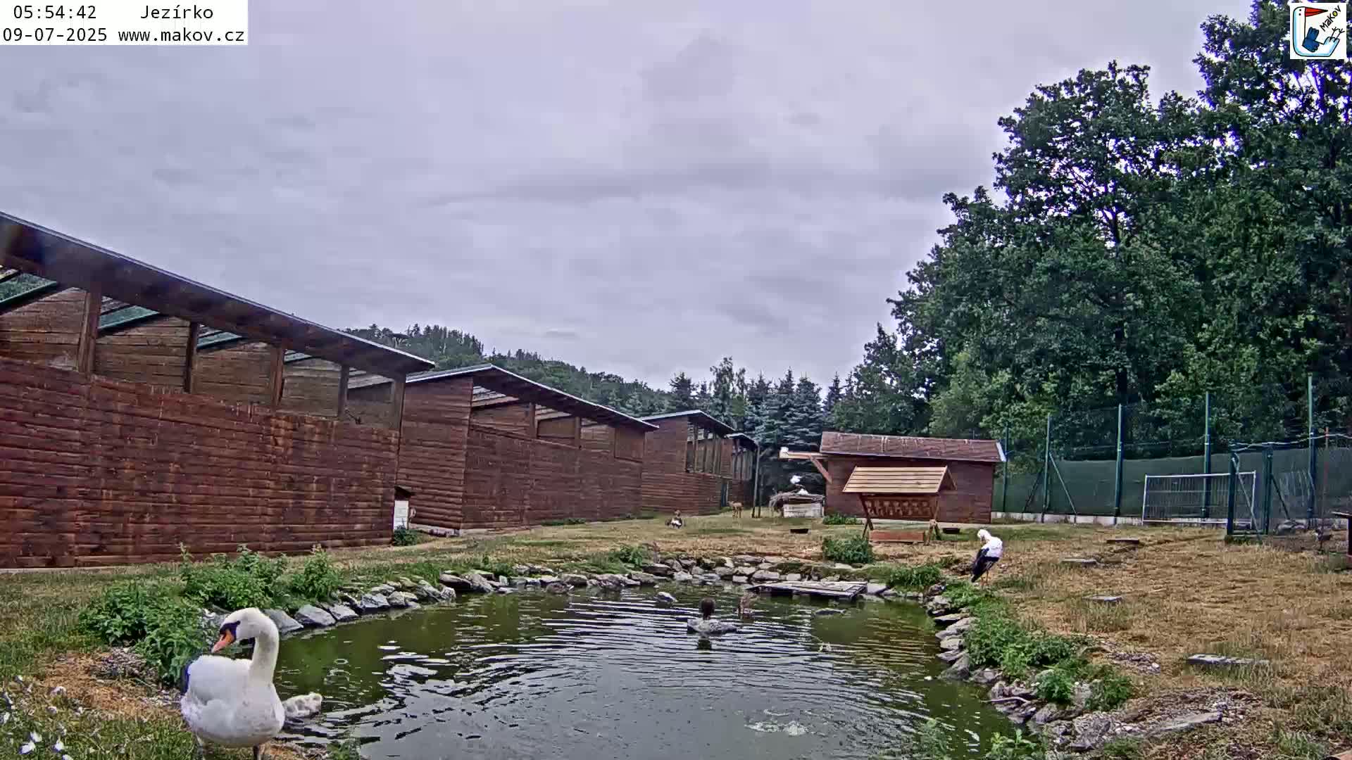 Pisek, Makov Animal Rescue Station Lake Live Cam - Cizova, Pisek, Juhočeský Kraj (South Bohemian), Czechia