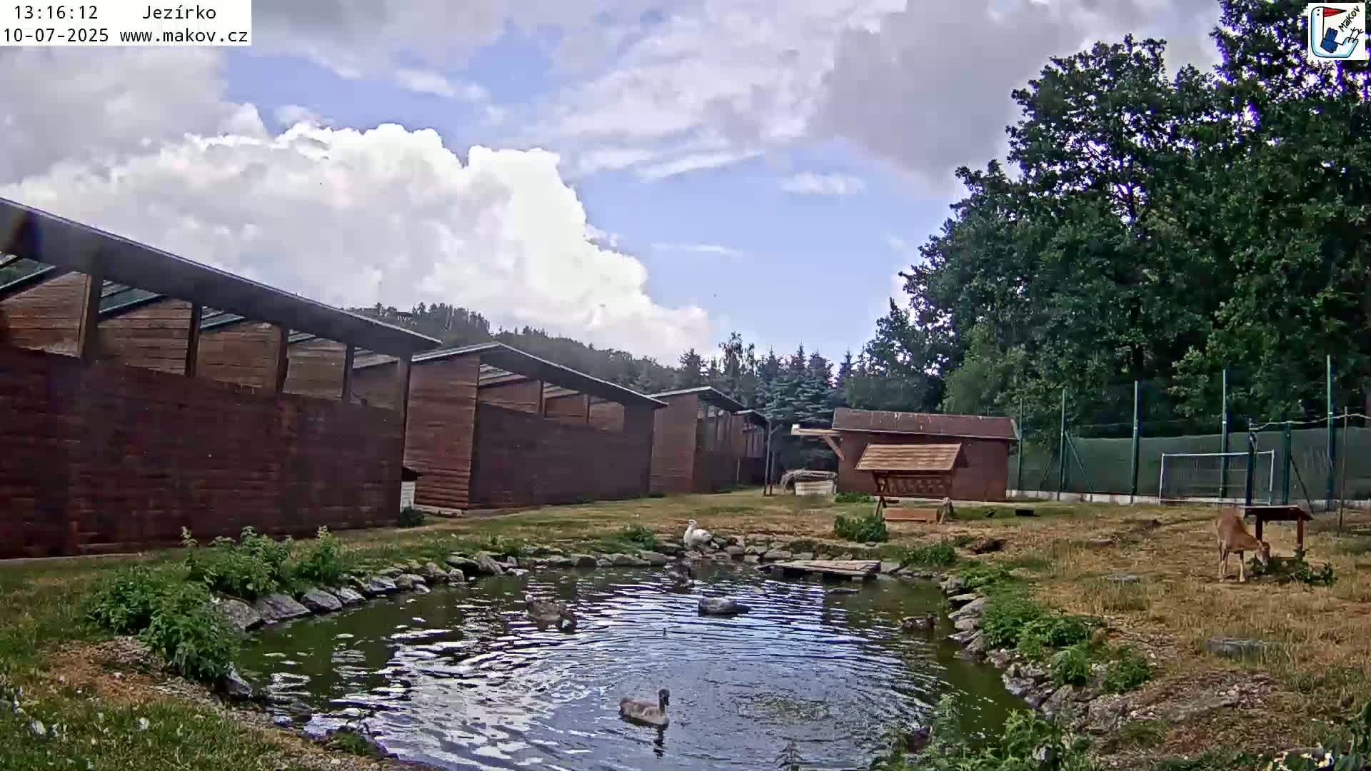 Pisek, Makov Animal Rescue Station Lake Live Cam - Cizova, Pisek, Juhočeský Kraj (South Bohemian), Czechia