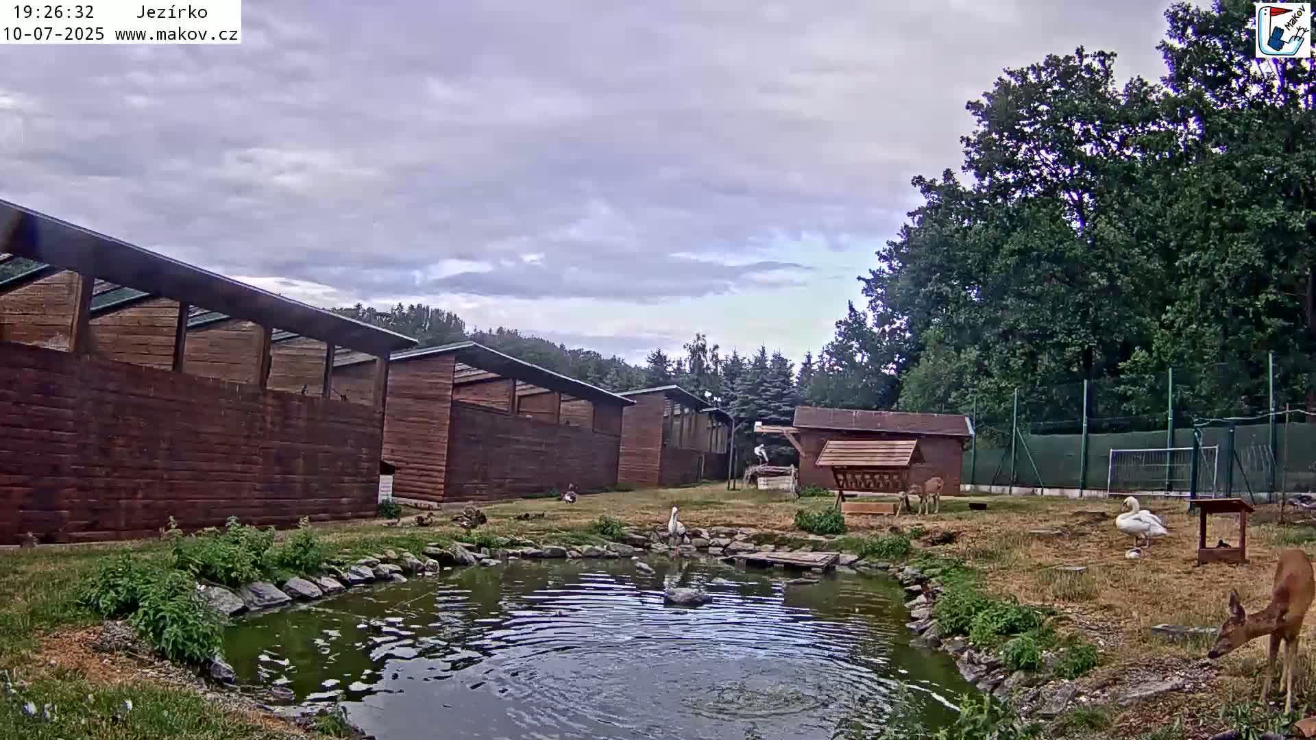 Pisek, Makov Animal Rescue Station Lake Live Cam - Cizova, Pisek, Juhočeský Kraj (South Bohemian), Czechia