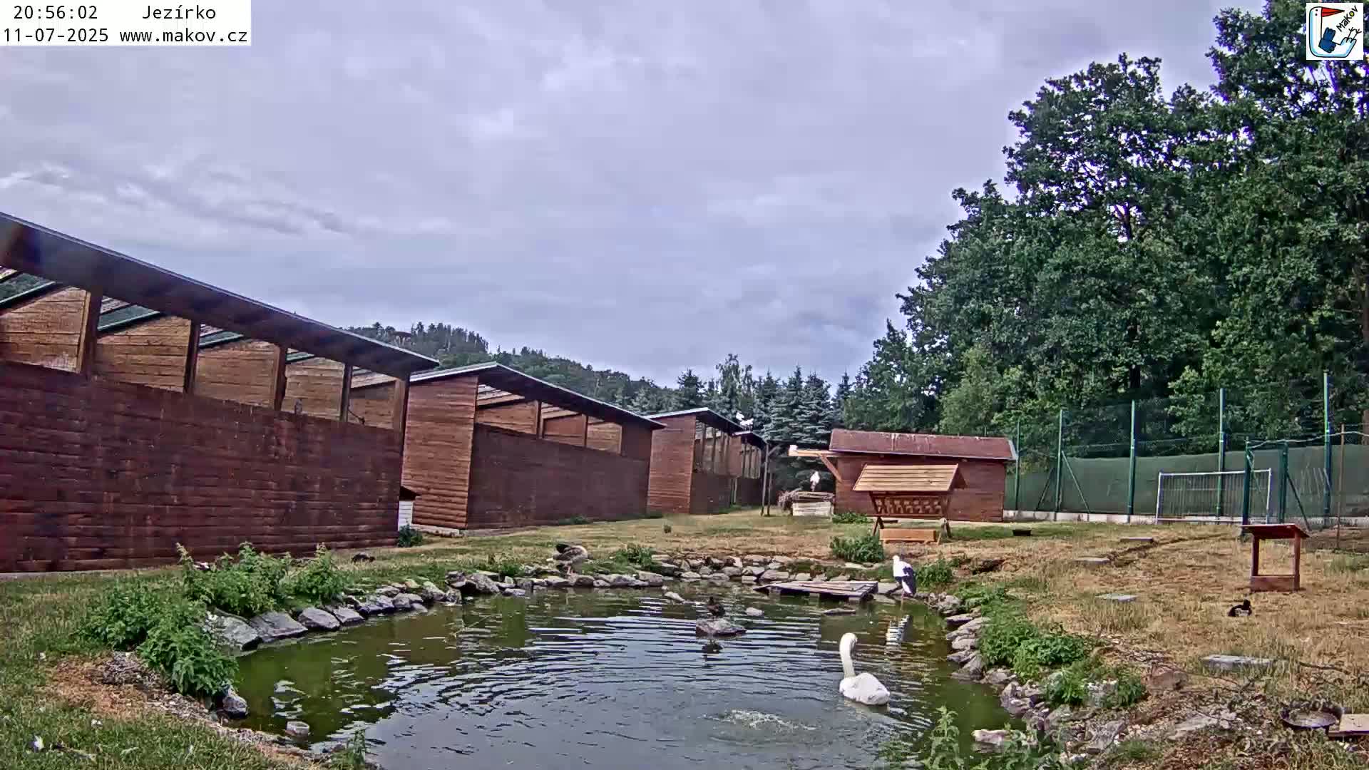Pisek, Makov Animal Rescue Station Lake Live Cam - Cizova, Pisek, Juhočeský Kraj (South Bohemian), Czechia
