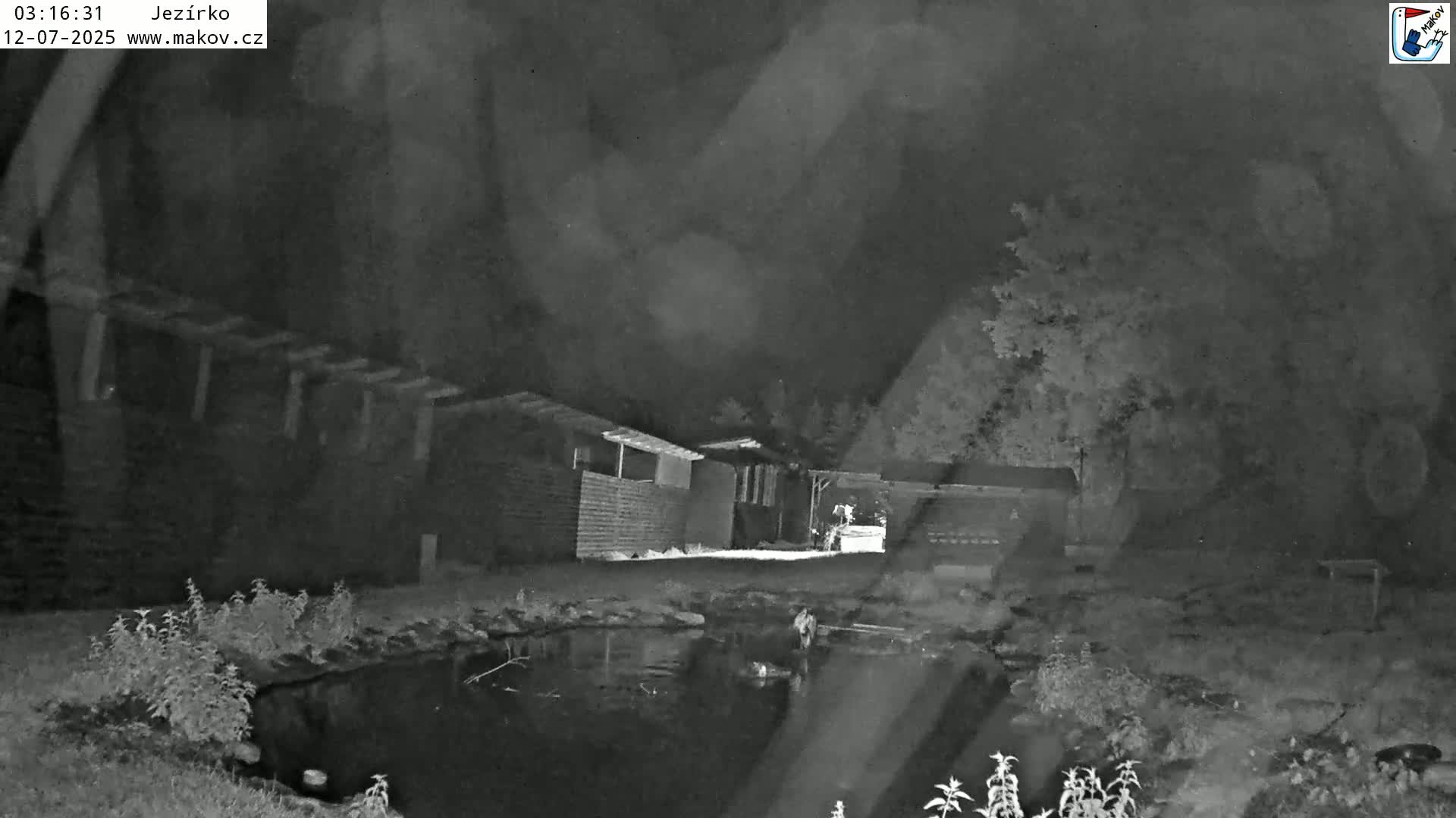 Pisek, Makov Animal Rescue Station Lake Live Cam - Cizova, Pisek, Juhočeský Kraj (South Bohemian), Czechia