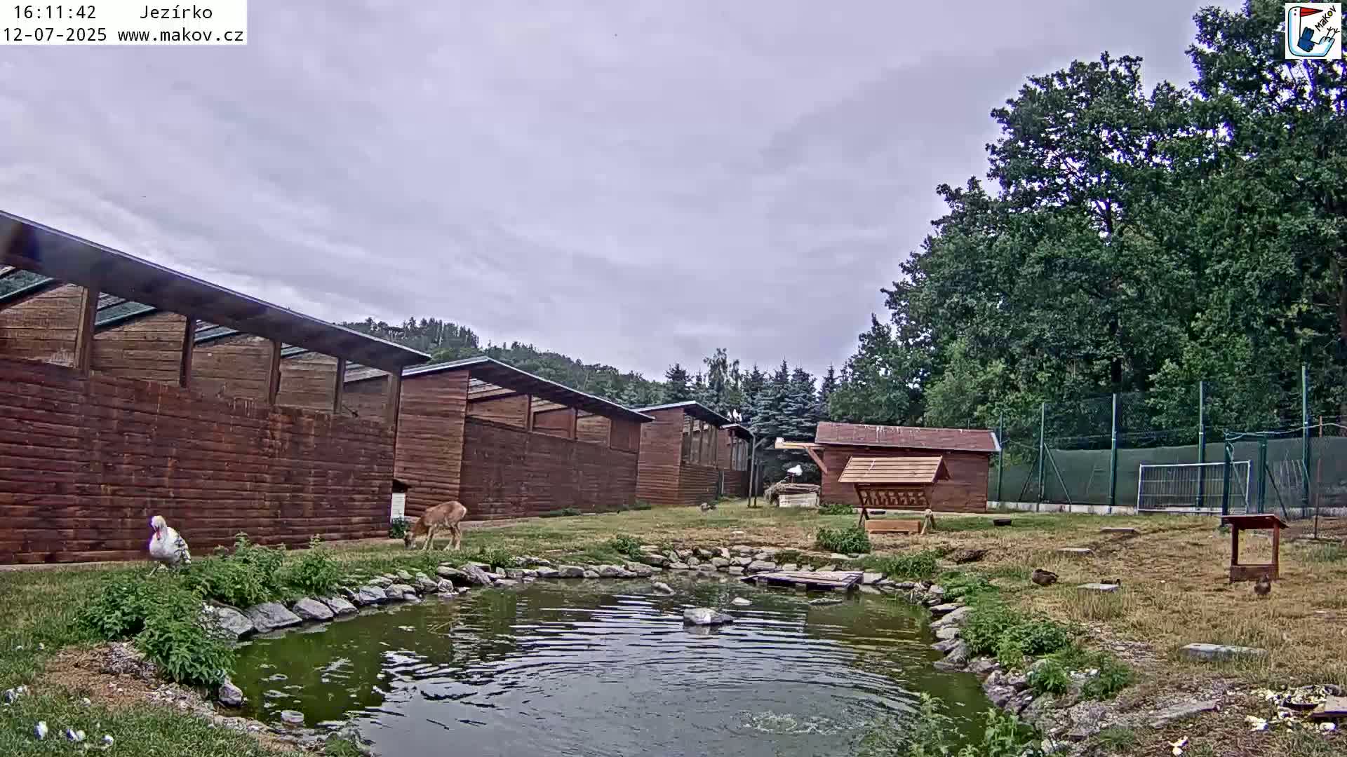 Pisek, Makov Animal Rescue Station Lake Live Cam - Cizova, Pisek, Juhočeský Kraj (South Bohemian), Czechia