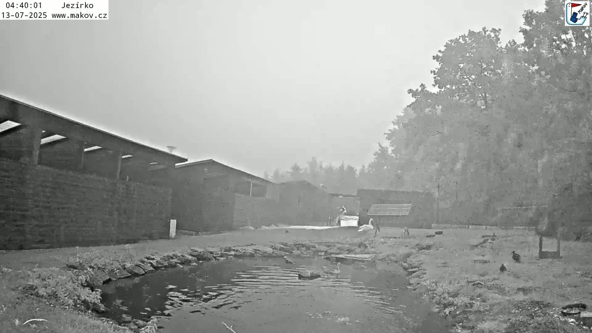 Pisek, Makov Animal Rescue Station Lake Live Cam - Cizova, Pisek, Juhočeský Kraj (South Bohemian), Czechia