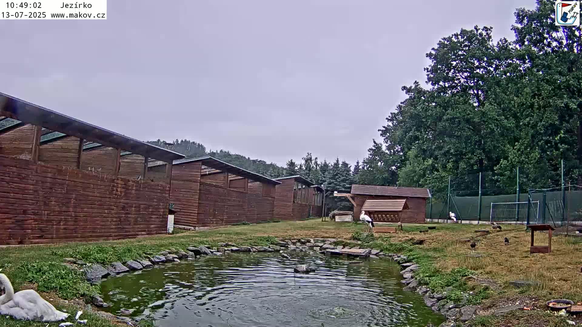 Pisek, Makov Animal Rescue Station Lake Live Cam - Cizova, Pisek, Juhočeský Kraj (South Bohemian), Czechia
