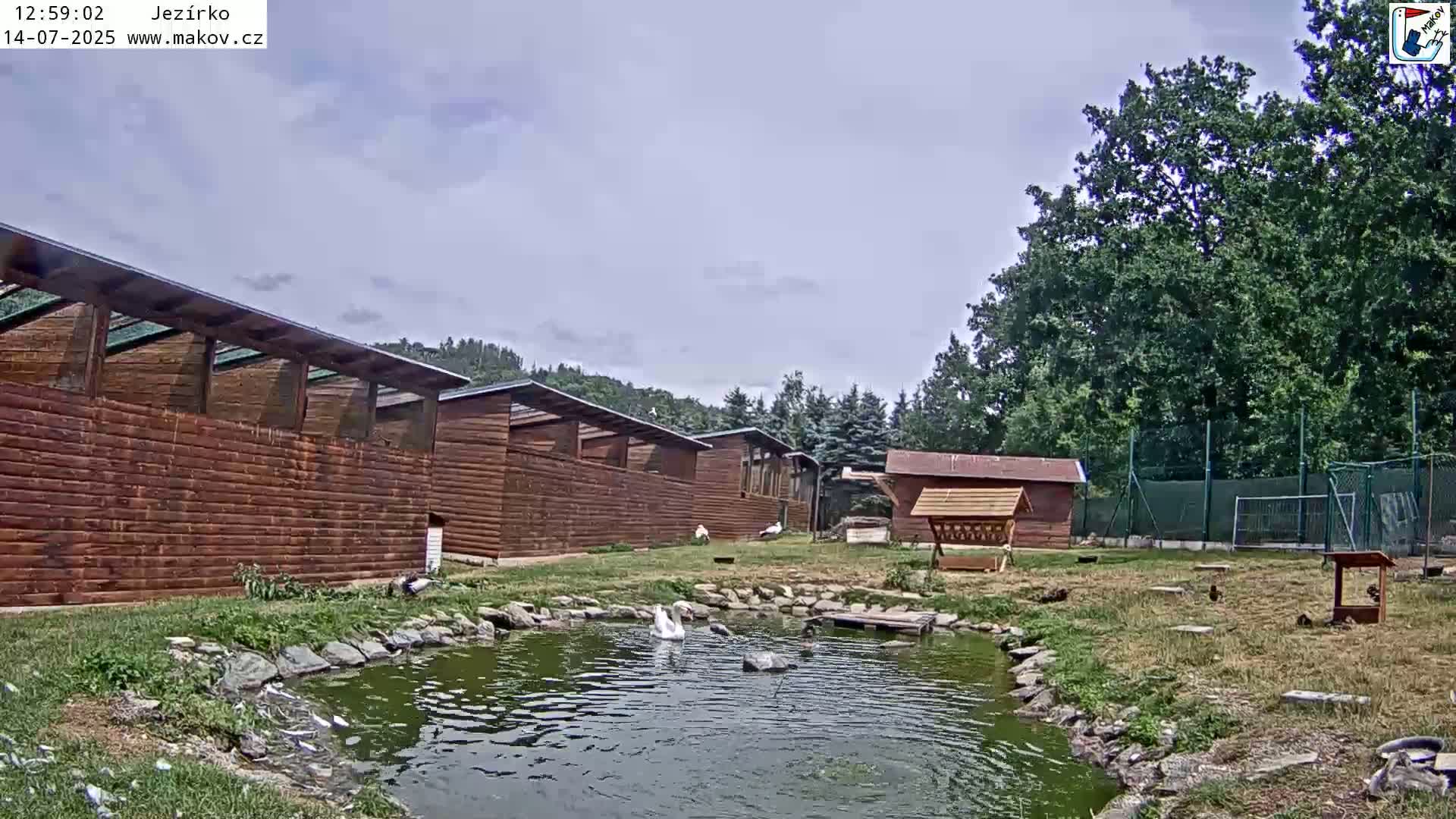 Pisek, Makov Animal Rescue Station Lake Live Cam - Cizova, Pisek, Juhočeský Kraj (South Bohemian), Czechia