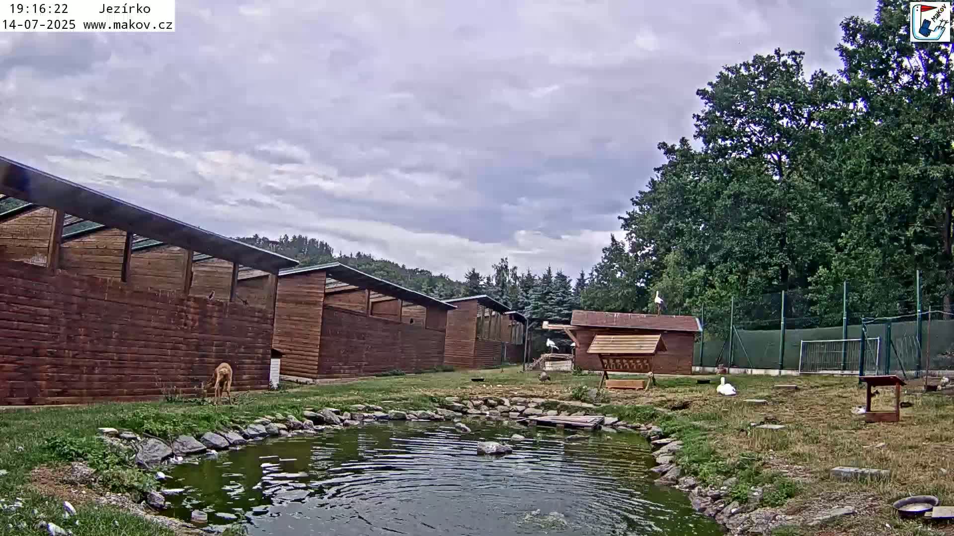 Pisek, Makov Animal Rescue Station Lake Live Cam - Cizova, Pisek, Juhočeský Kraj (South Bohemian), Czechia