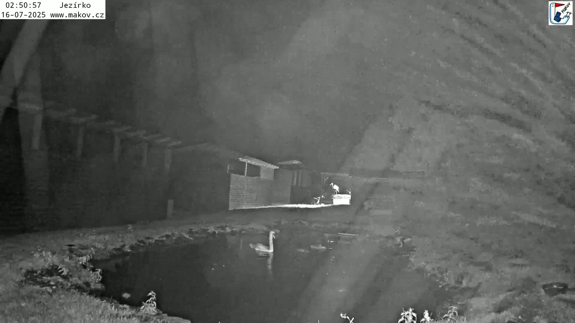 Pisek, Makov Animal Rescue Station Lake Live Cam - Cizova, Pisek, Juhočeský Kraj (South Bohemian), Czechia