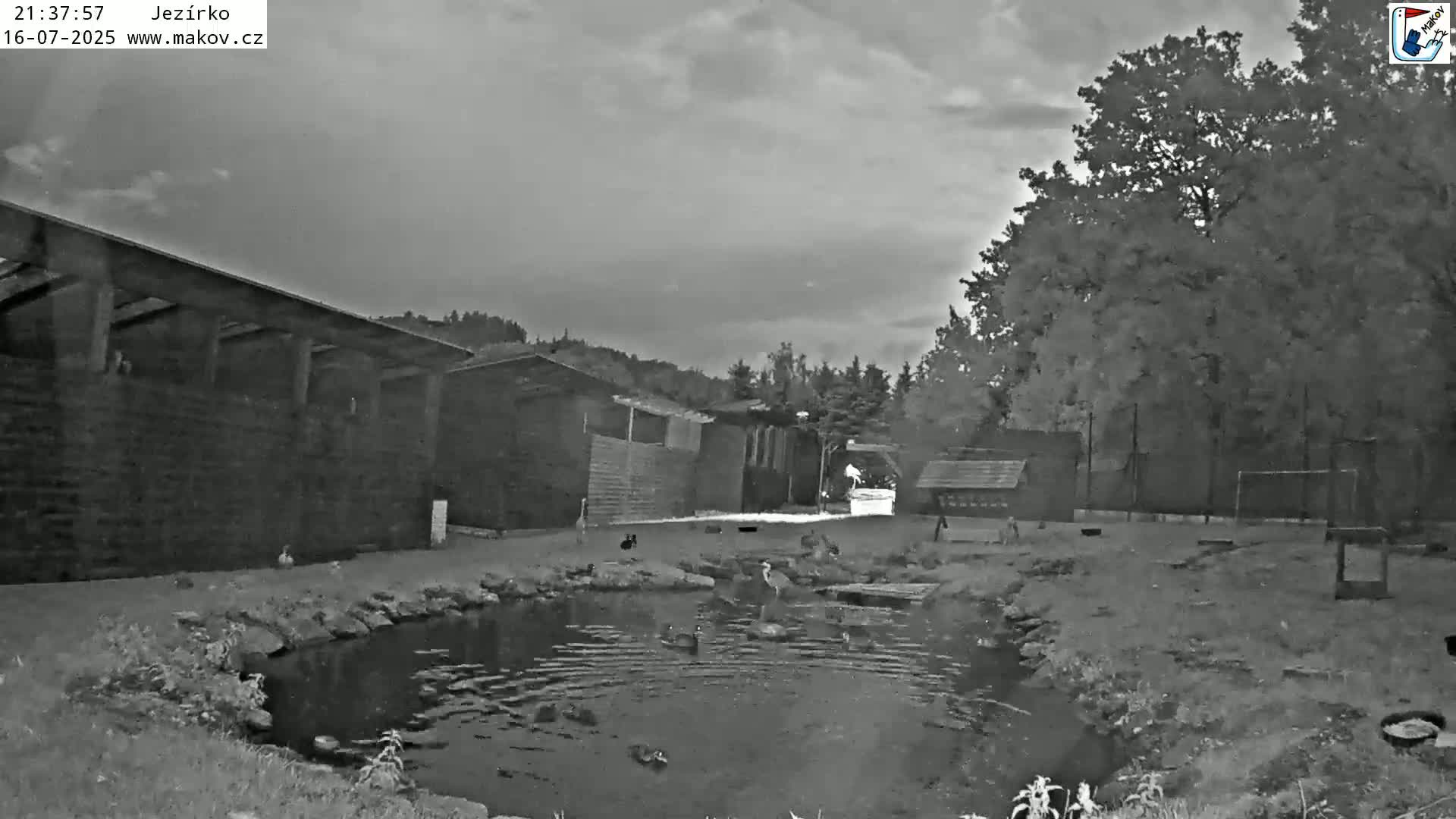 Pisek, Makov Animal Rescue Station Lake Live Cam - Cizova, Pisek, Juhočeský Kraj (South Bohemian), Czechia