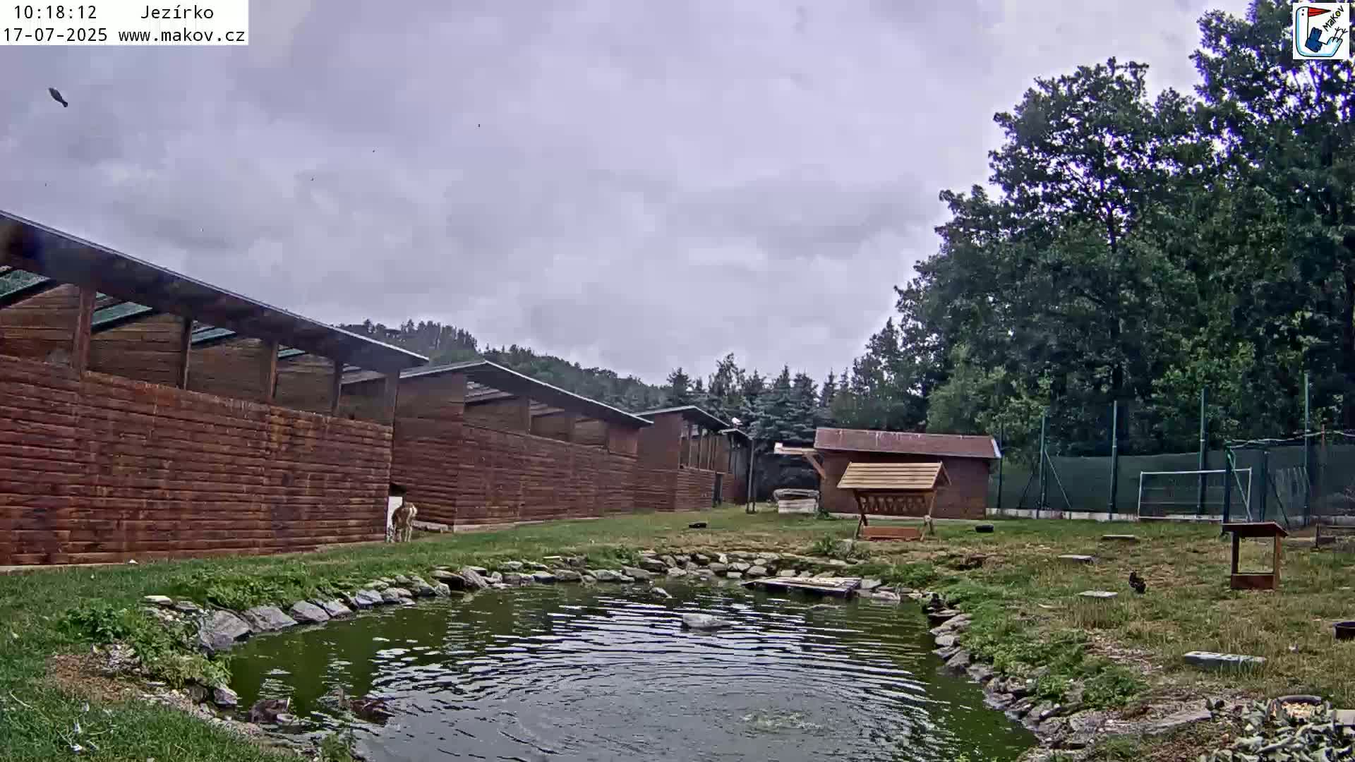 A small pond sits in front of several wooden animal enclosures, under an overcast sky.