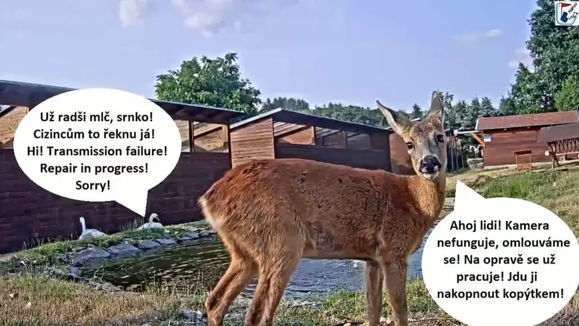 Pisek, Makov Animal Rescue Station Lake Live Cam - Cizova, Pisek, Juhočeský Kraj (South Bohemian), Czechia