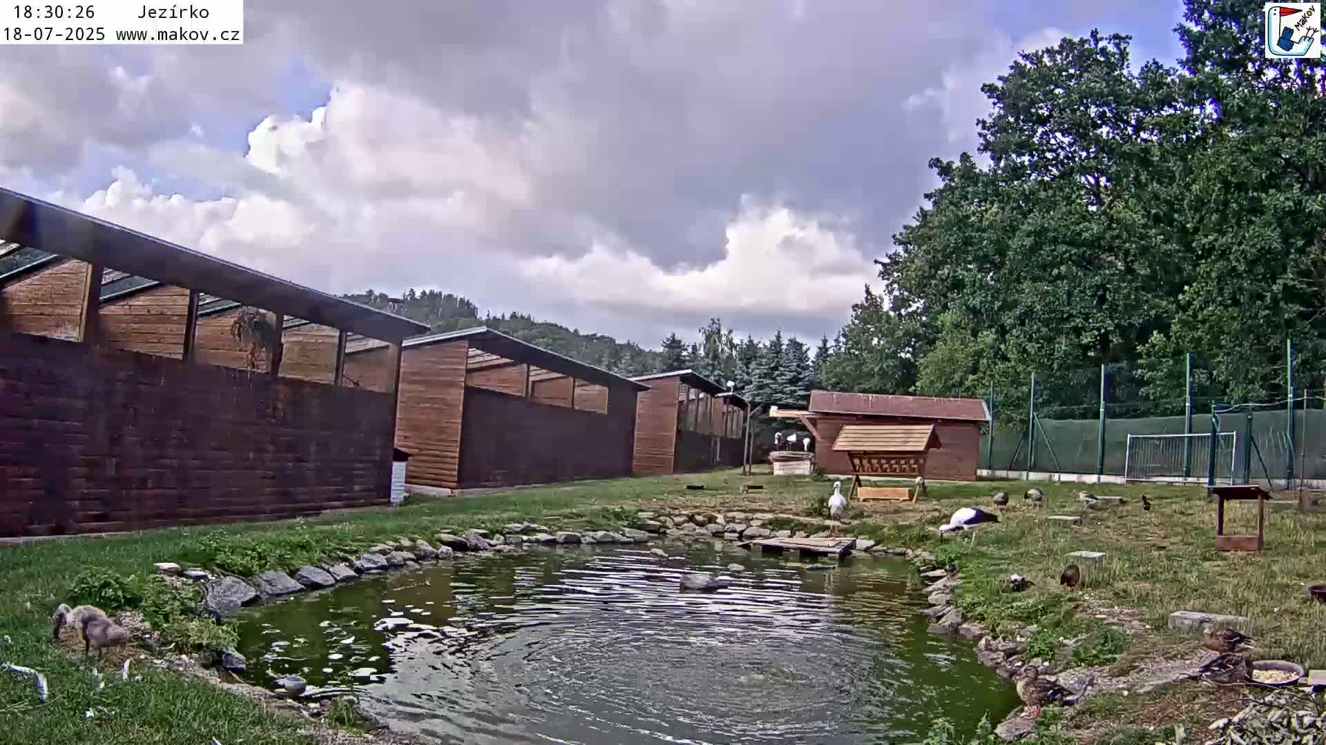 Pisek, Makov Animal Rescue Station Lake Live Cam - Cizova, Pisek, Juhočeský Kraj (South Bohemian), Czechia