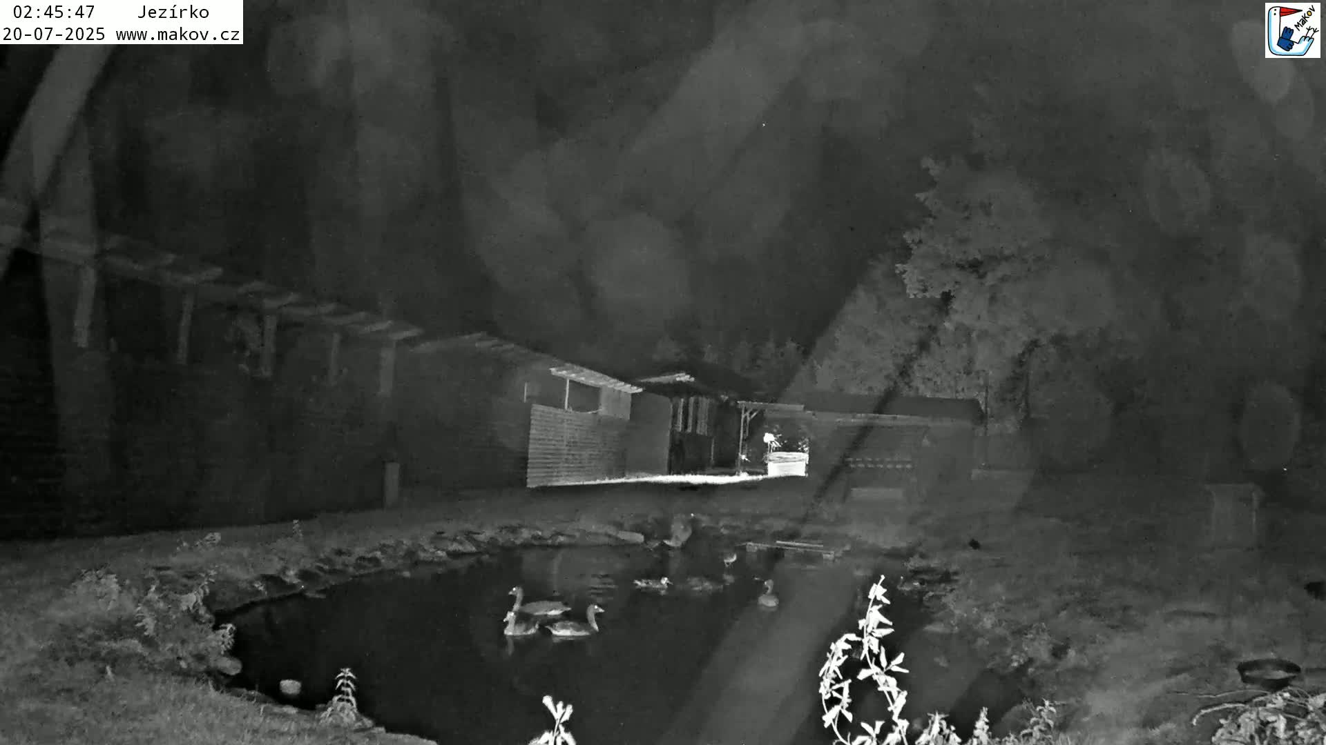 Pisek, Makov Animal Rescue Station Lake Live Cam - Cizova, Pisek, Juhočeský Kraj (South Bohemian), Czechia