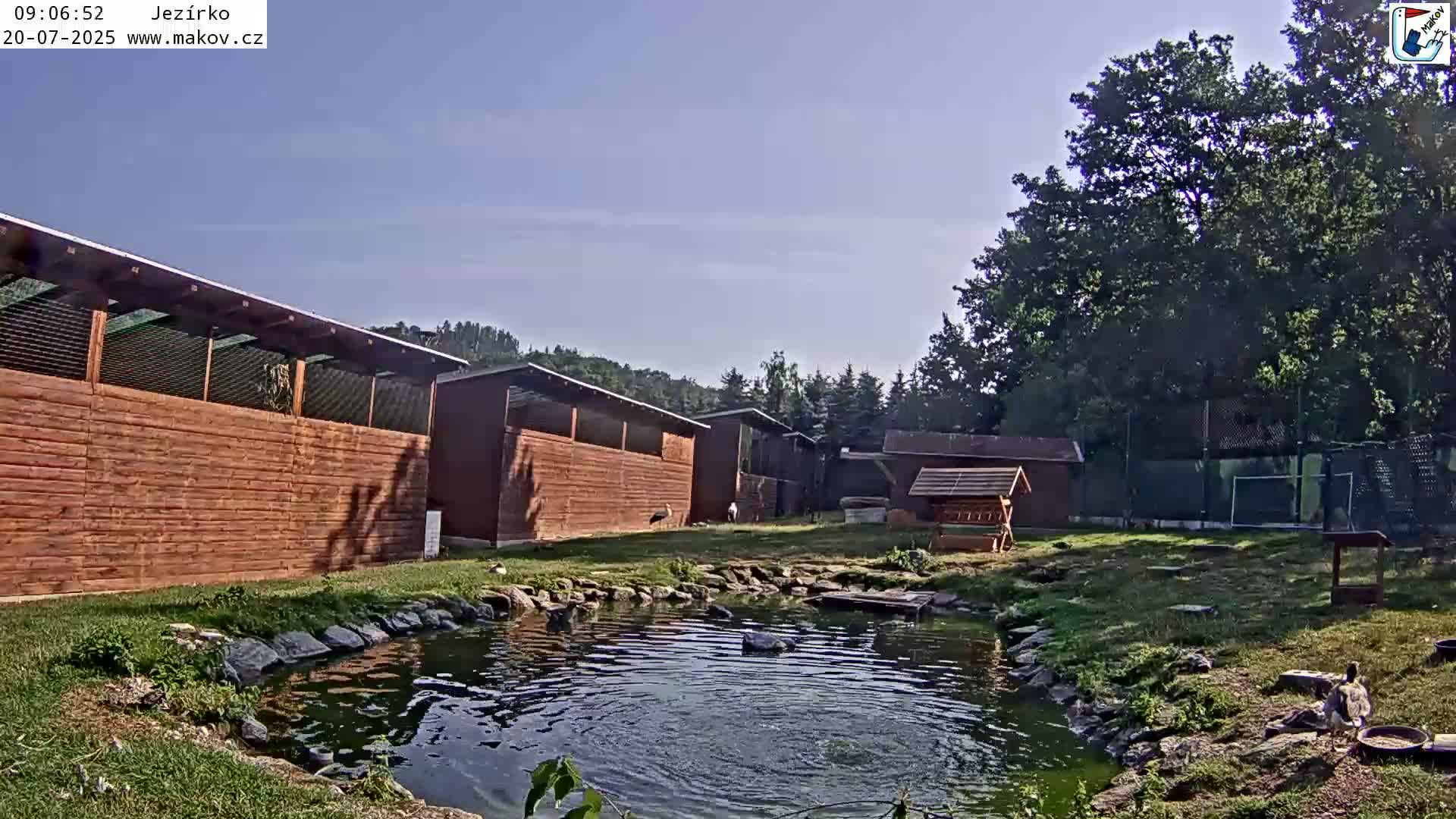 A small pond sits in a grassy area surrounded by wooden structures and trees under a clear blue sky.
