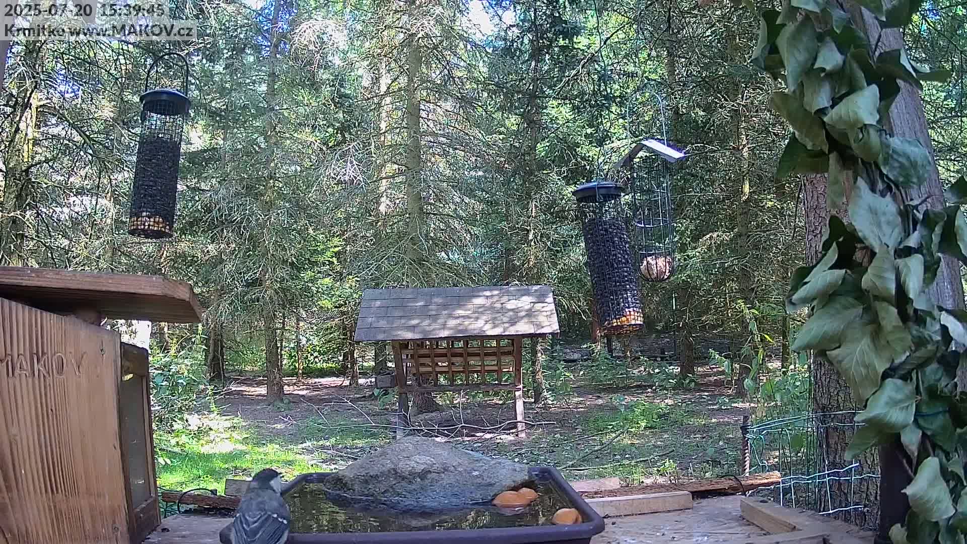 Pisek, Makov Animal Rescue Station Lake Live Cam - Cizova, Pisek, Juhočeský Kraj (South Bohemian), Czechia