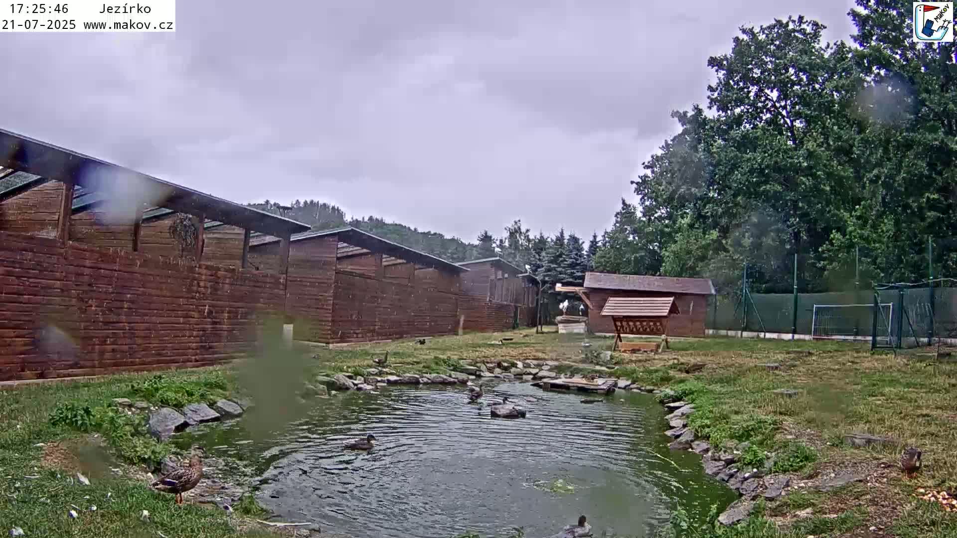 Pisek, Makov Animal Rescue Station Lake Live Cam - Cizova, Pisek, Juhočeský Kraj (South Bohemian), Czechia