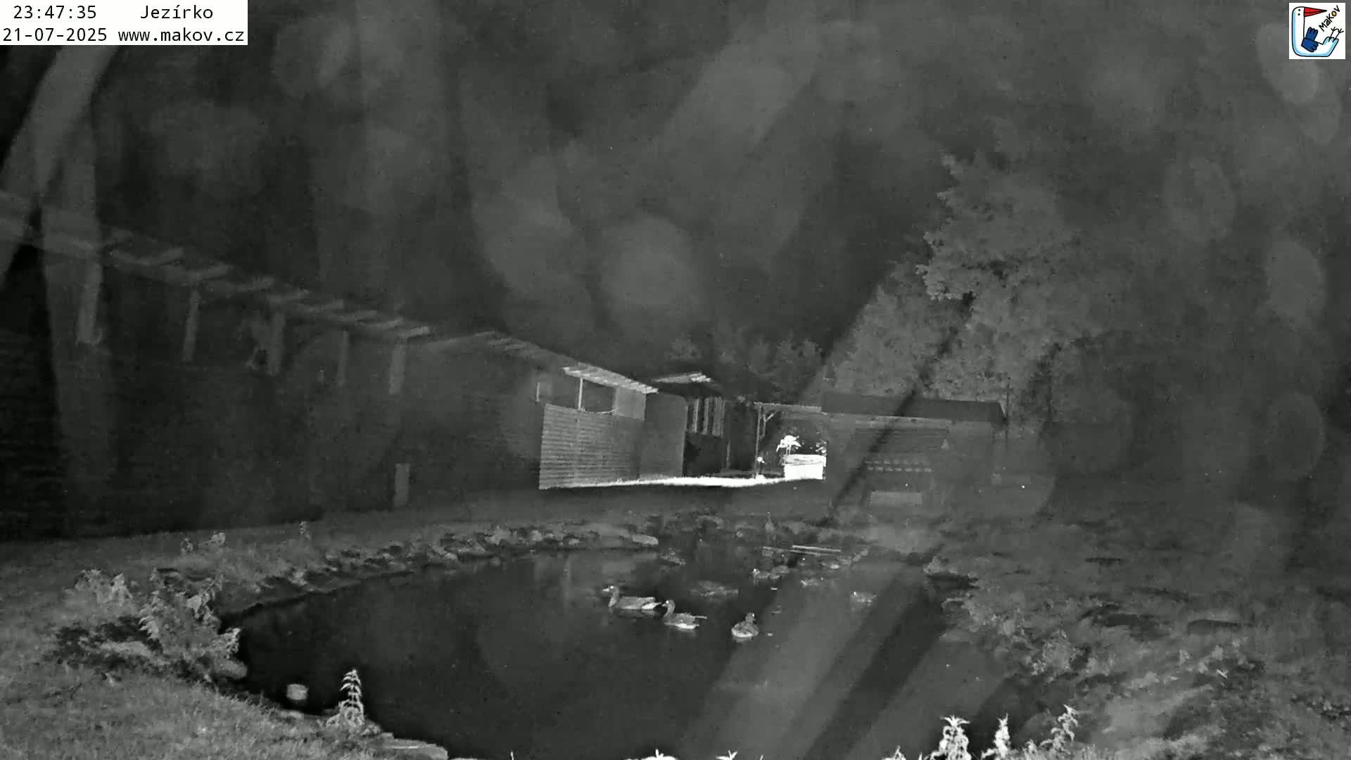 Pisek, Makov Animal Rescue Station Lake Live Cam - Cizova, Pisek, Juhočeský Kraj (South Bohemian), Czechia
