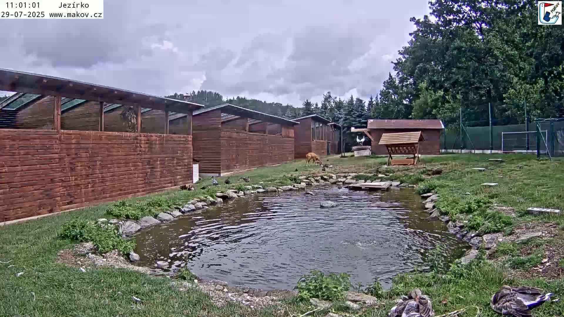 Pisek, Makov Animal Rescue Station Lake Live Cam - Cizova, Pisek, Juhočeský Kraj (South Bohemian), Czechia
