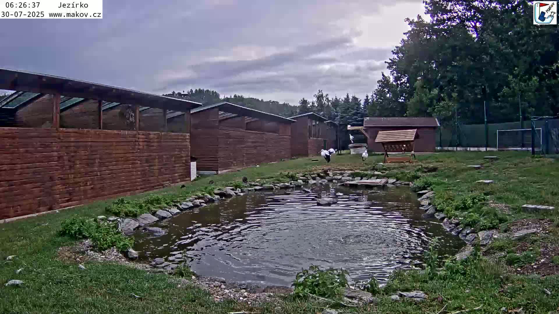 A small pond sits in a grassy area surrounded by wooden structures and trees under a clear blue sky.