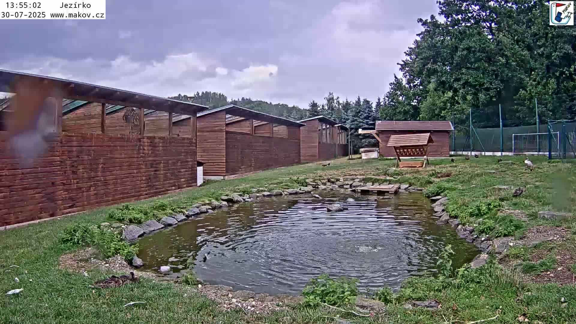 Pisek, Makov Animal Rescue Station Lake Live Cam - Cizova, Pisek, Juhočeský Kraj (South Bohemian), Czechia