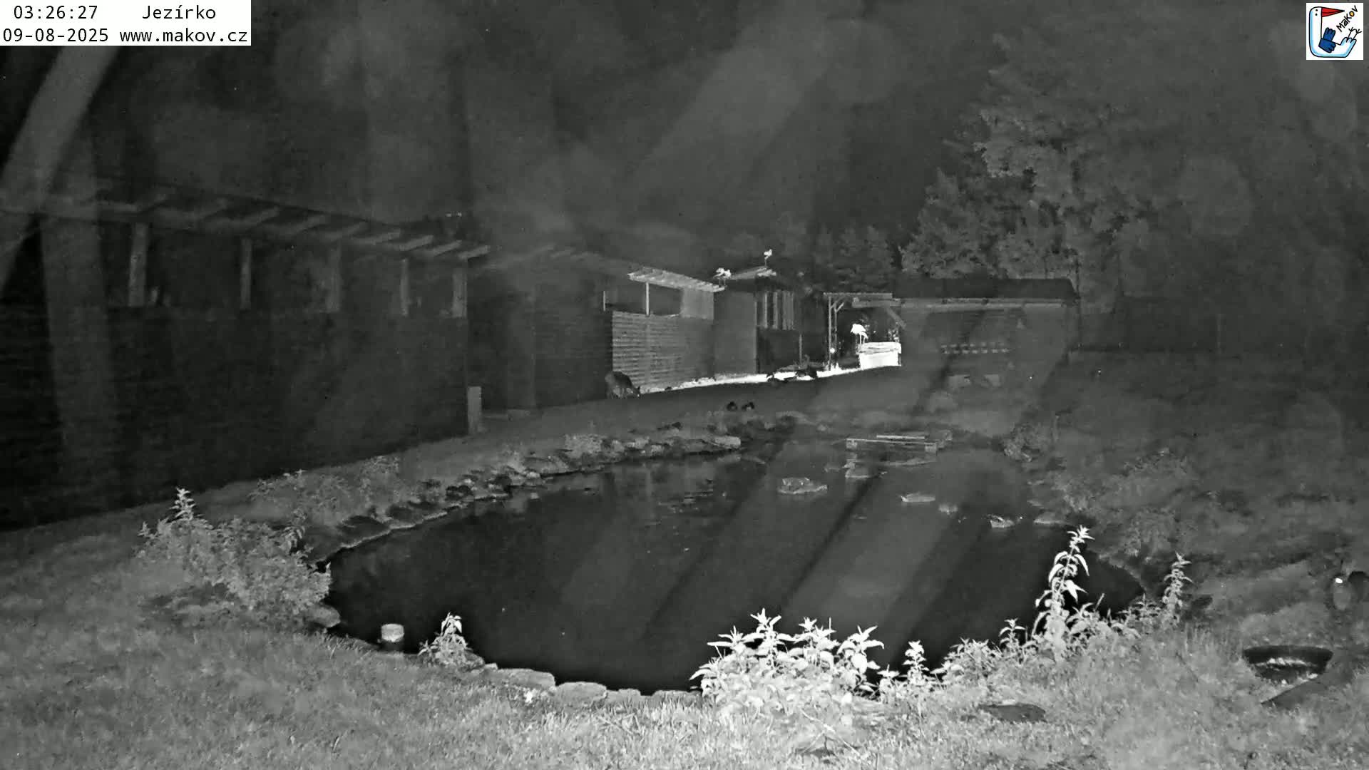 Pisek, Makov Animal Rescue Station Lake Live Cam - Cizova, Pisek, Juhočeský Kraj (South Bohemian), Czechia