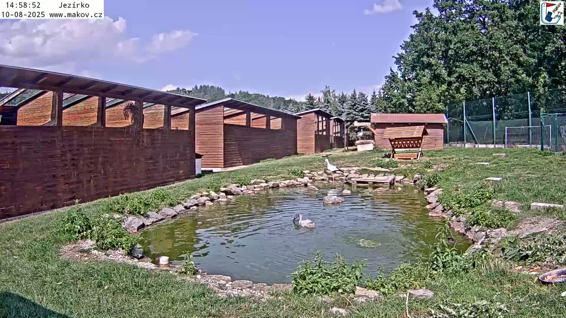 Pisek, Makov Animal Rescue Station Lake Live Cam - Cizova, Pisek, Juhočeský Kraj (South Bohemian), Czechia