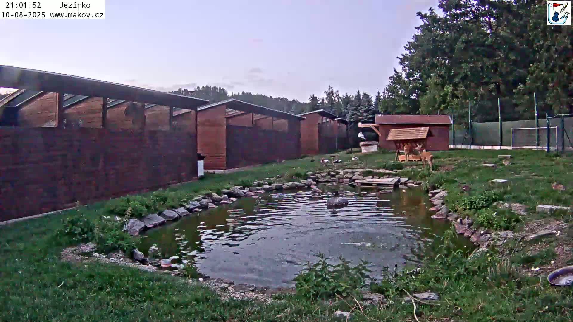 Pisek, Makov Animal Rescue Station Lake Live Cam - Cizova, Pisek, Juhočeský Kraj (South Bohemian), Czechia