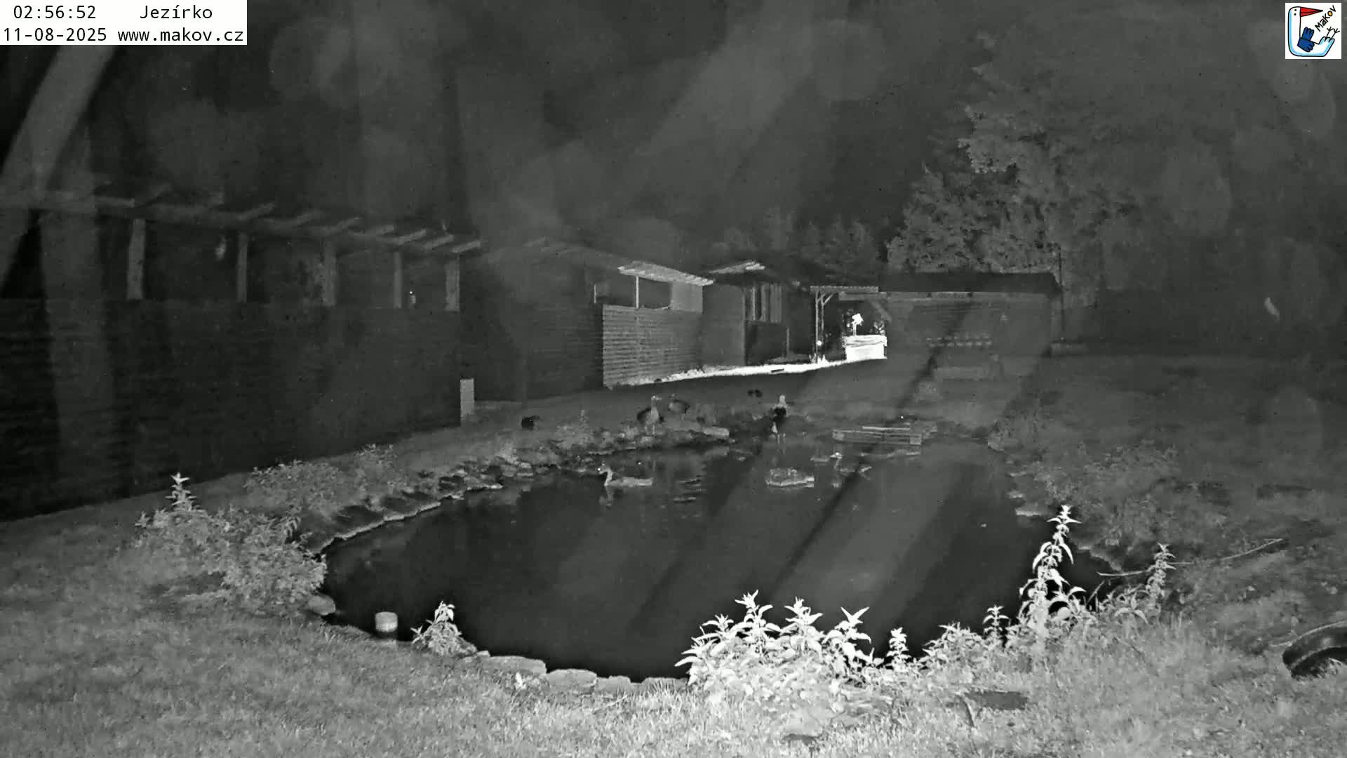 Pisek, Makov Animal Rescue Station Lake Live Cam - Cizova, Pisek, Juhočeský Kraj (South Bohemian), Czechia