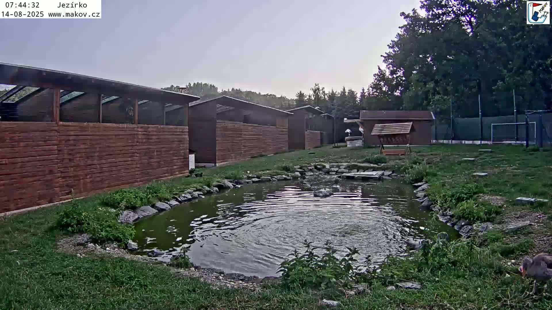 Pisek, Makov Animal Rescue Station Lake Live Cam - Cizova, Pisek, Juhočeský Kraj (South Bohemian), Czechia