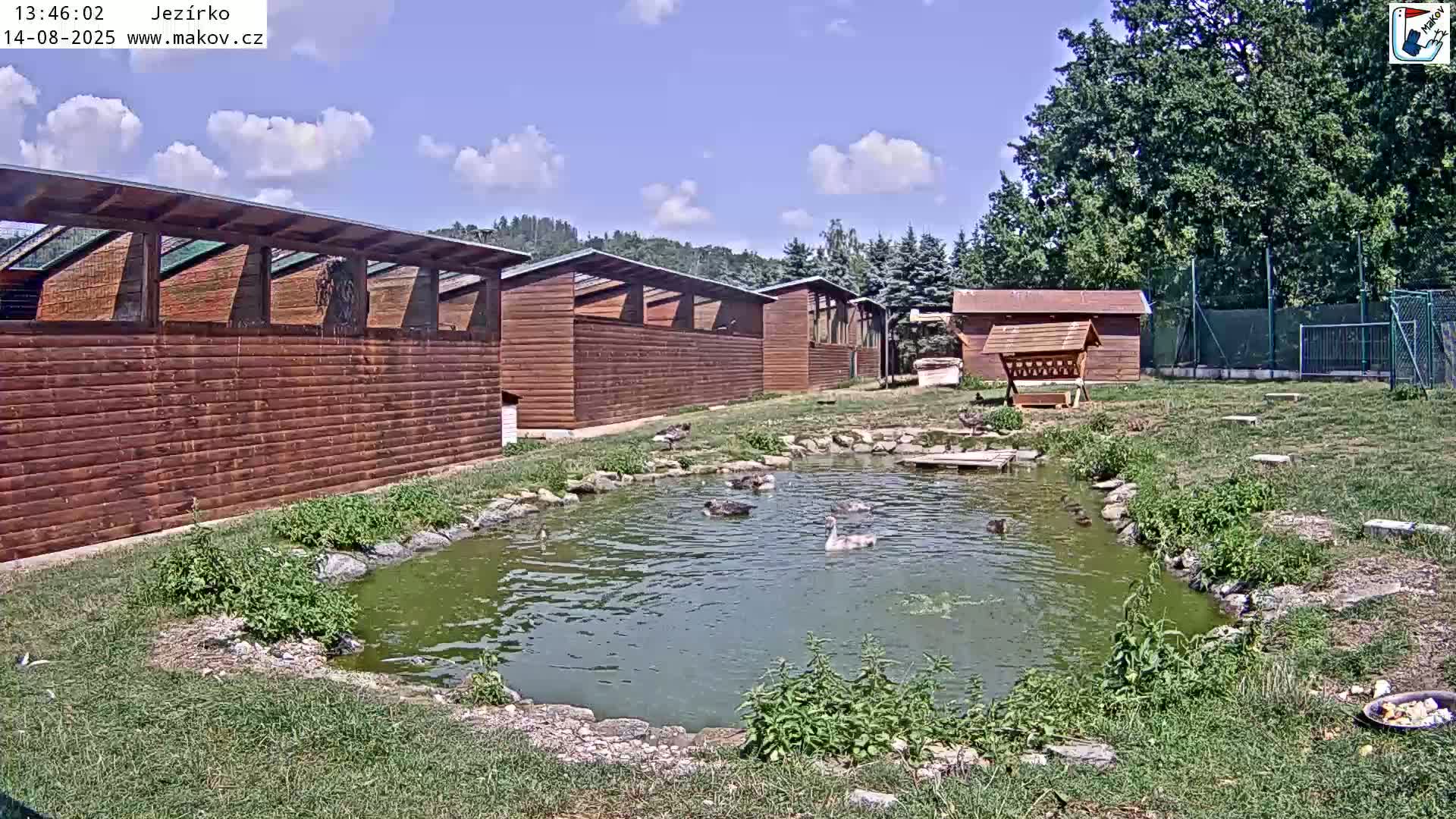 Pisek, Makov Animal Rescue Station Lake Live Cam - Cizova, Pisek, Juhočeský Kraj (South Bohemian), Czechia